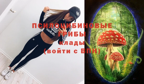 мескалин Медногорск