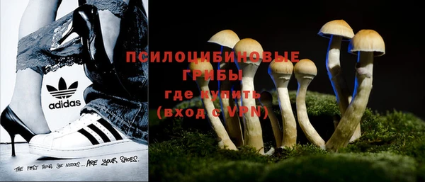 дмт Медвежьегорск