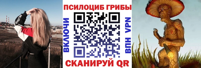 Галлюциногенные грибы Cubensis Острогожск